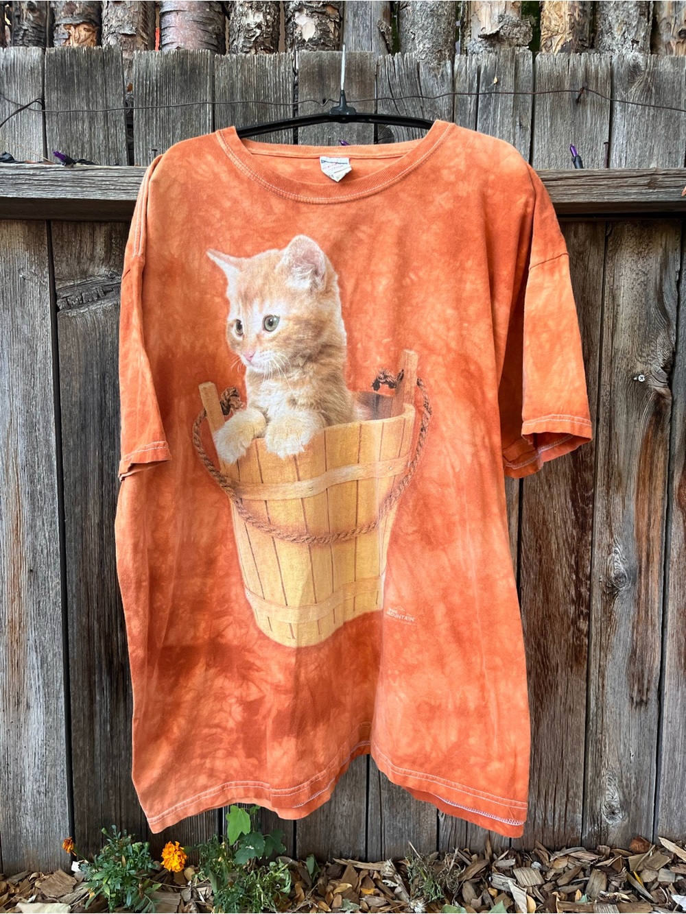 Classic Orange Cat Tee Featuring Kitten in Bucket - Fall Halloween Vibes